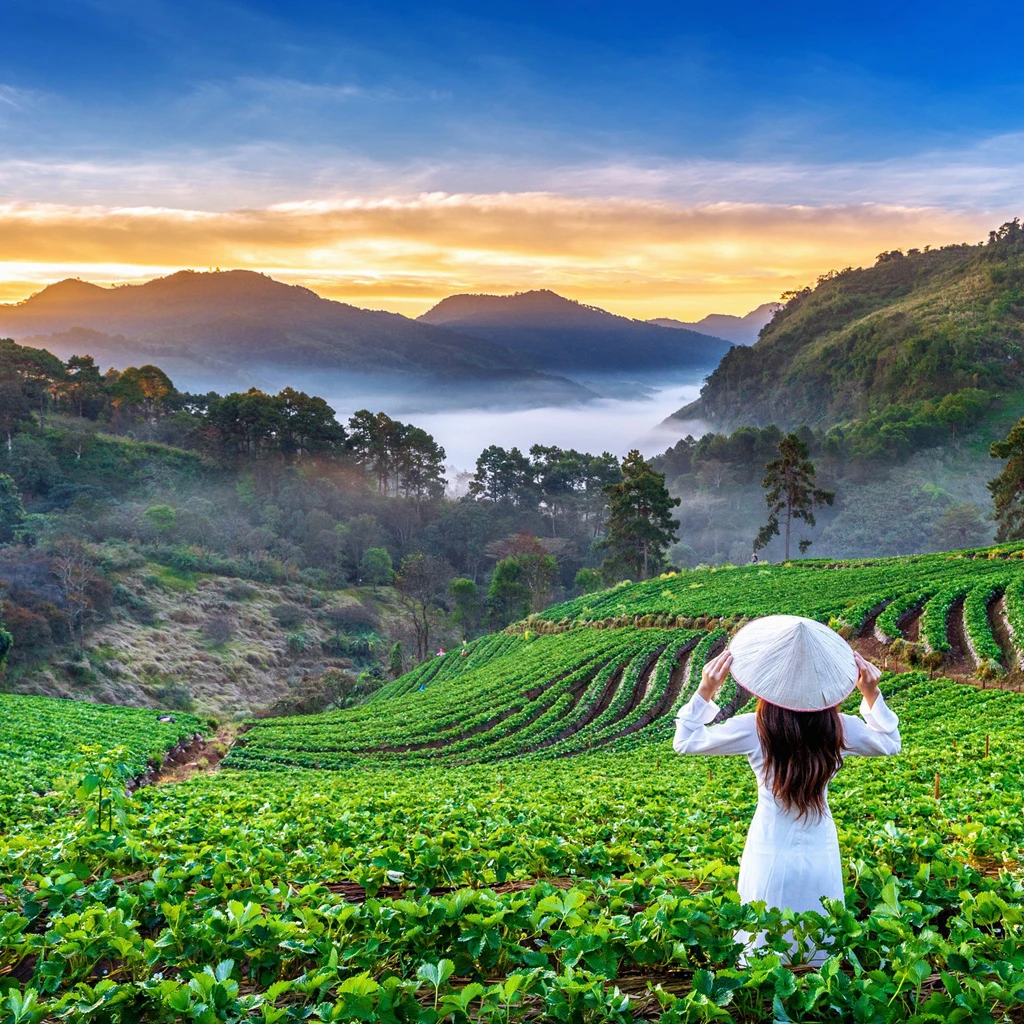 5 days tour package tourhublk.com sri lanka